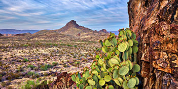 Church&rsquo;s Texas Chicken<sub>&trade;</sub>